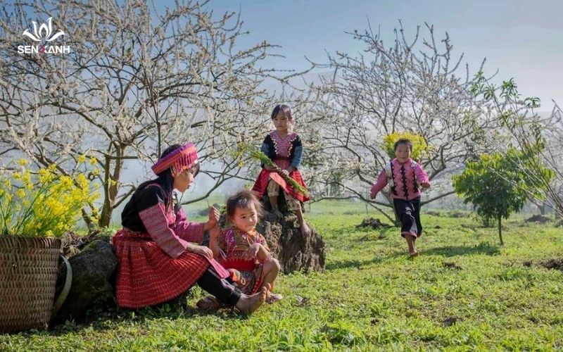 Bản dân tộc Mộc Châu