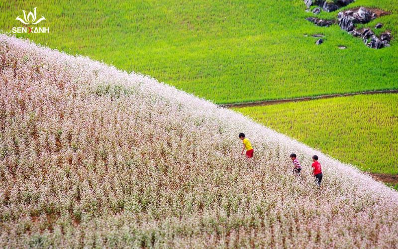 Cẩm nang du lịch Hà Giang