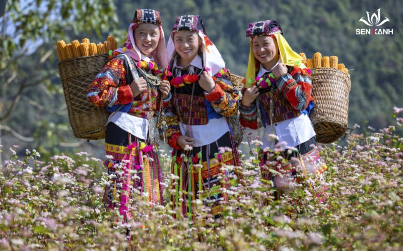 Cẩm nang du lịch Hà Giang