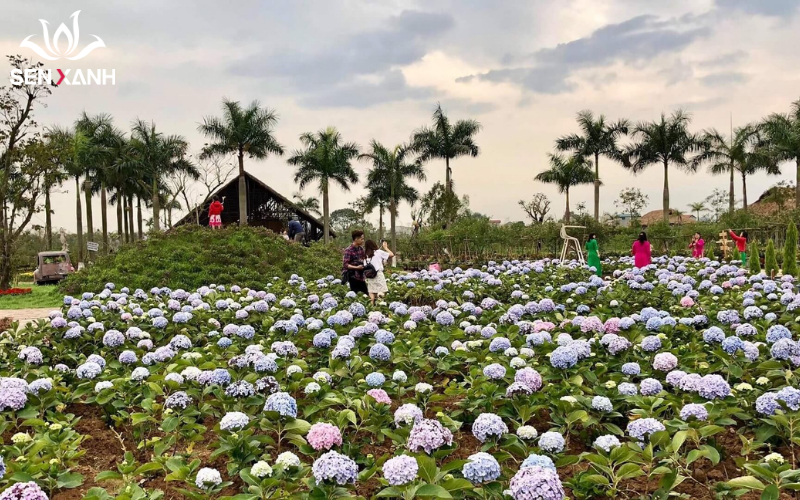 du lịch sinh thái Hà Nội