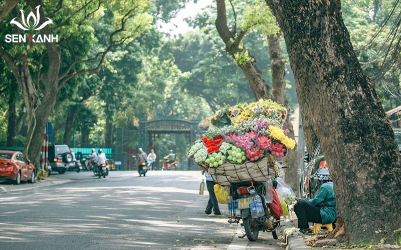 giai đoạn tốt nhất để thăm Hà Nội