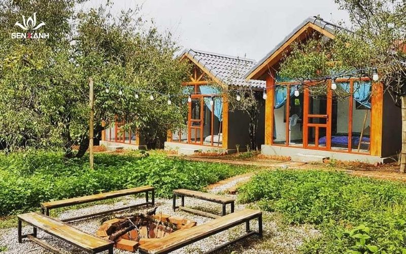 Homestay Mộc Châu