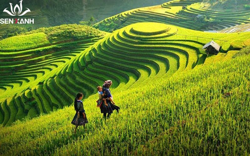 lịch trình du lịch Hà Nội Hạ Long Sapa