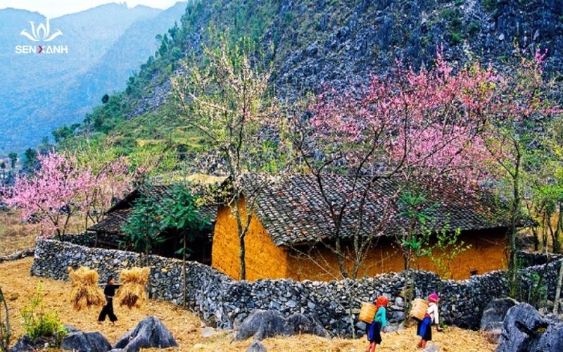 Nhà văn hóa các dân tộc Hà Giang