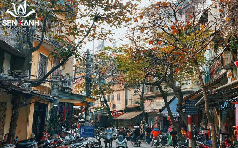 phố cổ Hà Nội