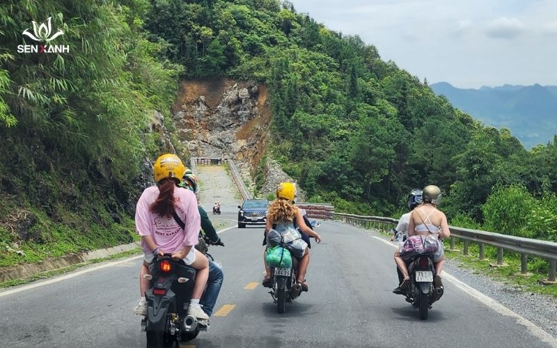 Tour du lịch giá rẻ Hà Giang