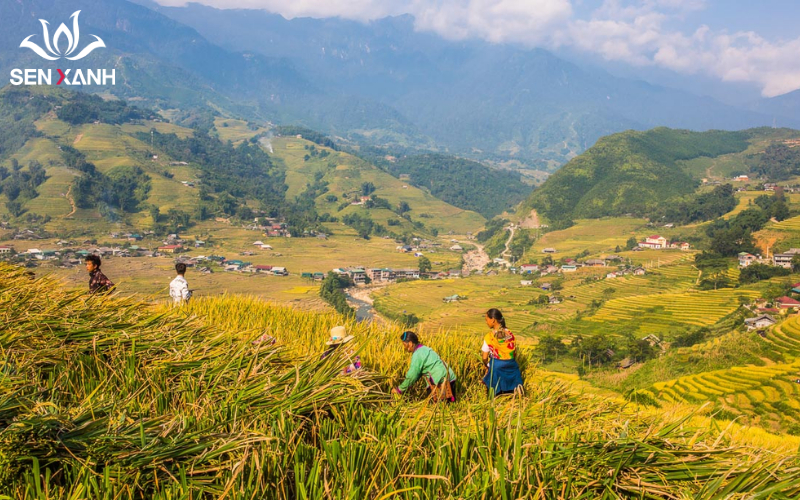 tour miền Bắc từ Hà Nội