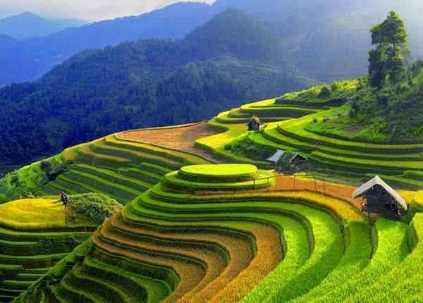 TOUR DU LỊCH MÙ CANG CHẢI - SAPA 3 NGÀY 2 ĐÊM